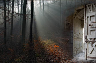 ElizabethChadwick.com - Akashic Record